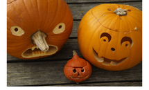 Halloween Haunt web image Oct 2025